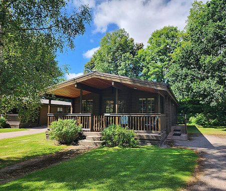 Pet friendly holiday cabin - Dragonfly