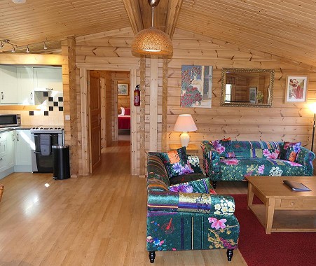 Dragonfly living area