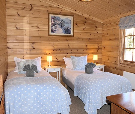 Dragonfly twin bedroom