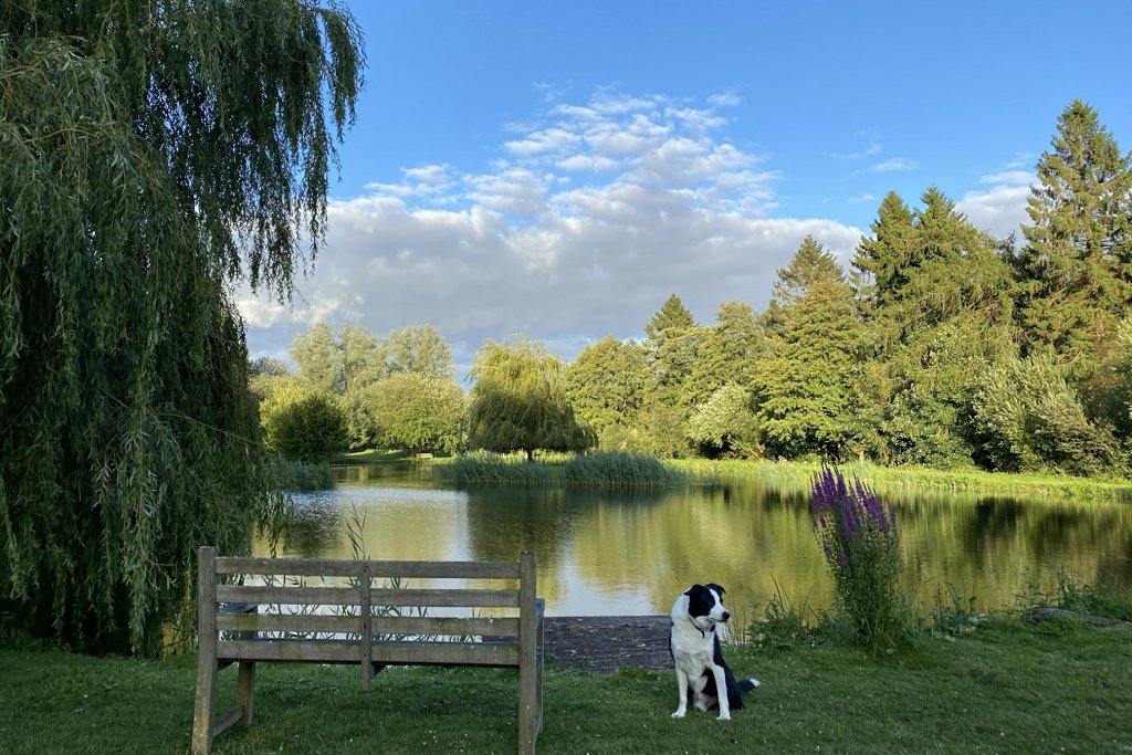 dog friendly lodges Pewsey