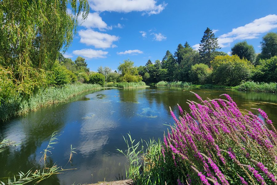 Wiltshire stays - nature lake